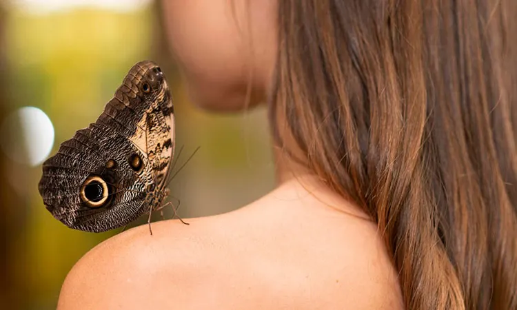 Editorial Arte en Movimiento